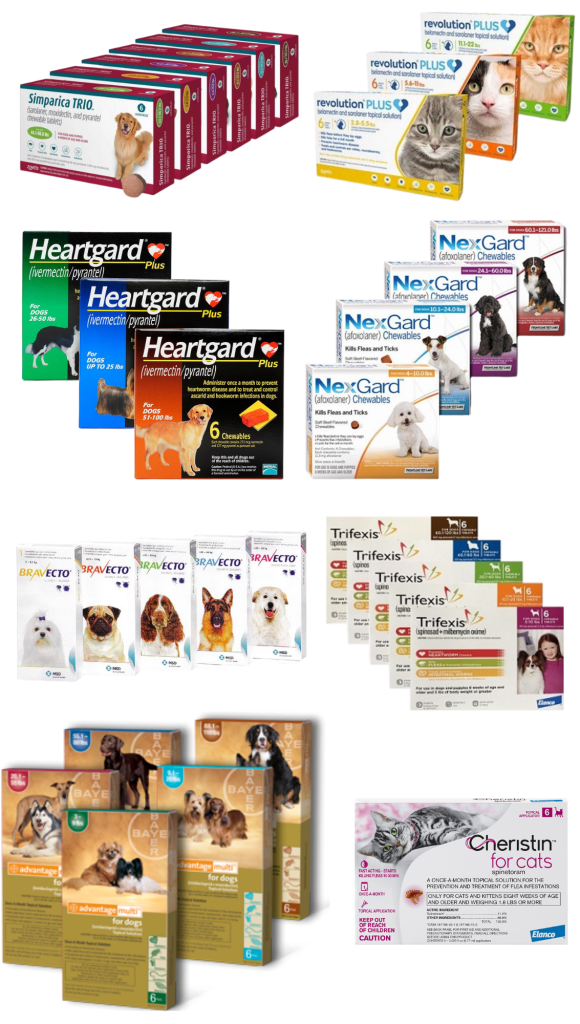 How Often Should I Take My Dog to the Vet ⋆ ctf.bnsf.com - Flea And Parasite Control For Seniors